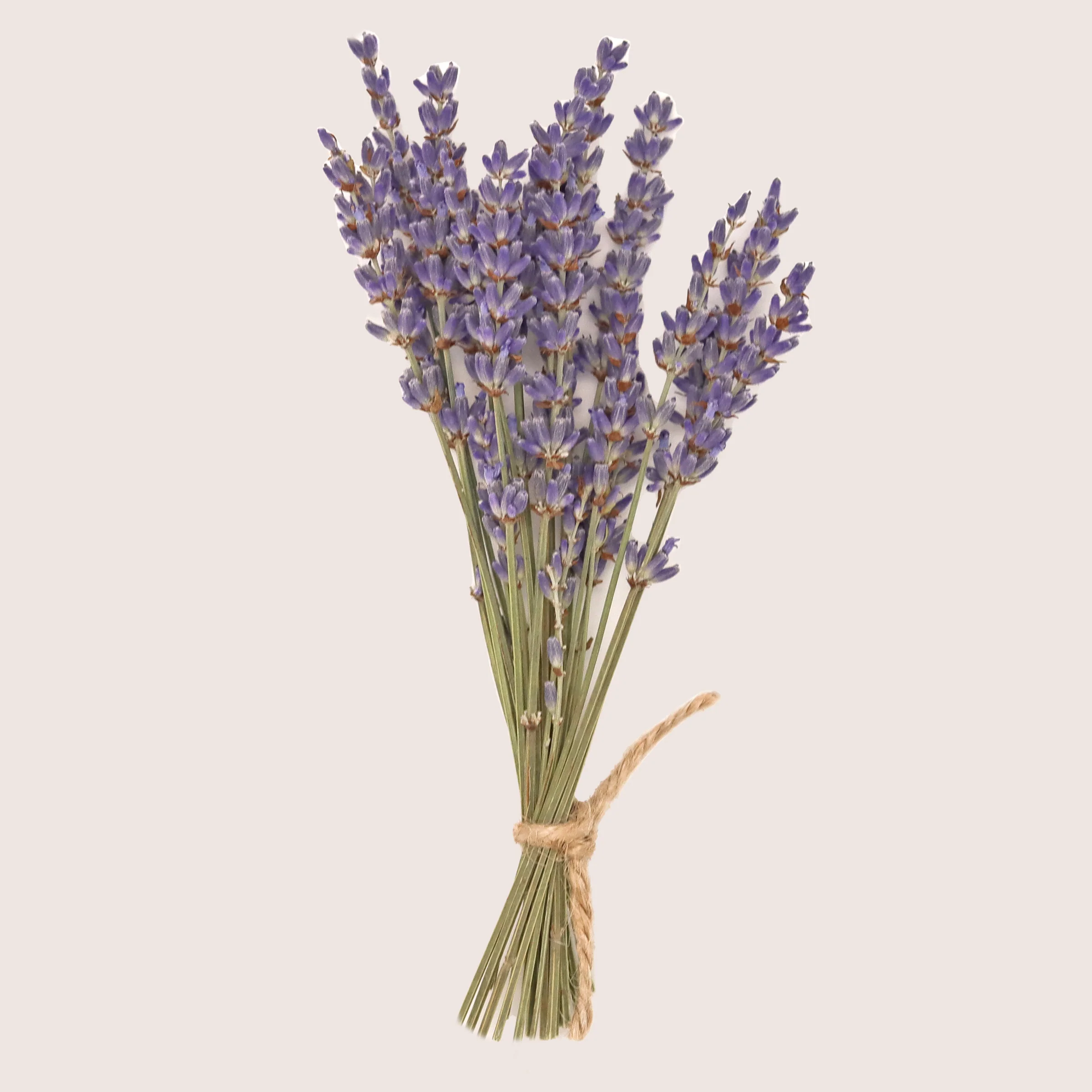 Dried Lavender