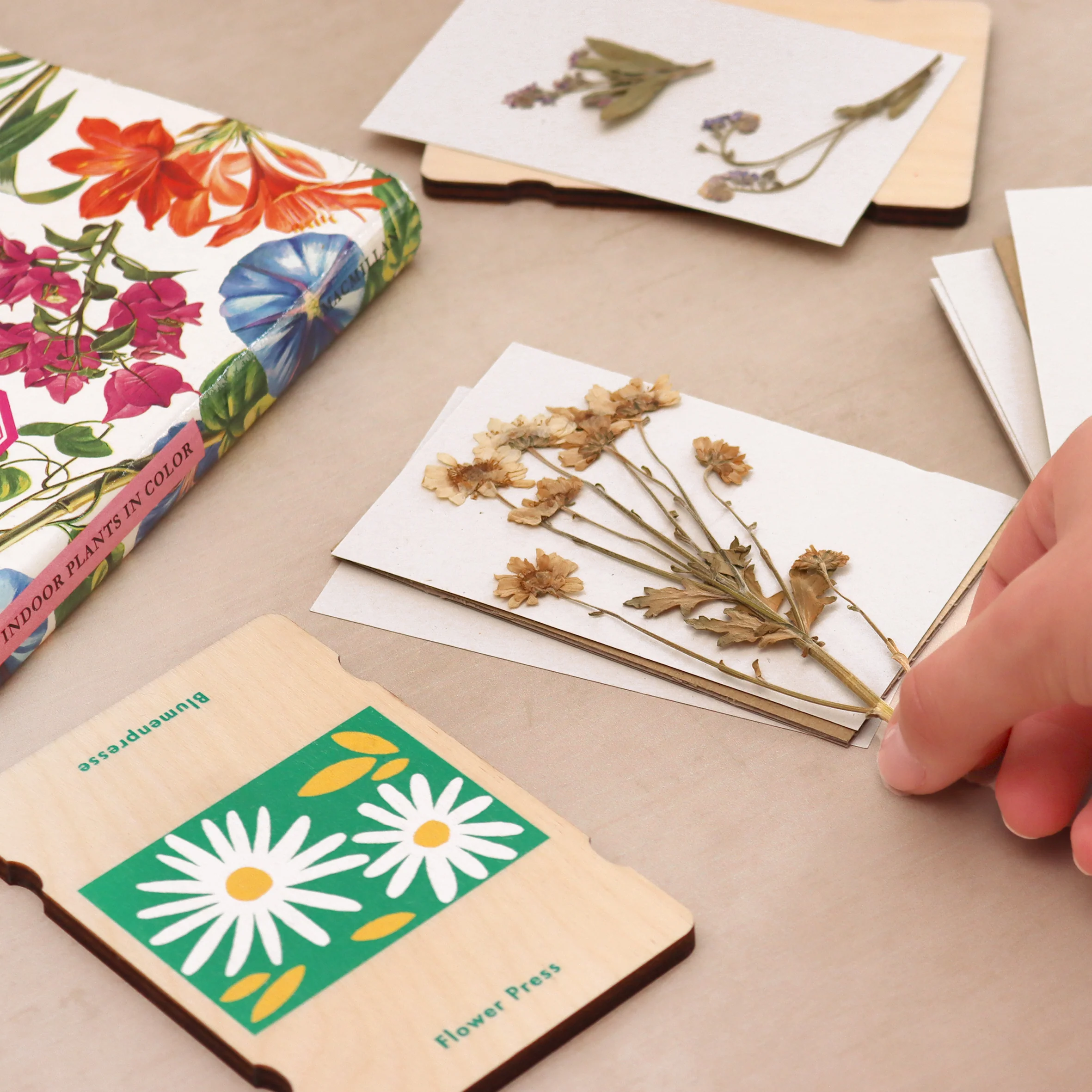 Wooden Flower Press - Image 2