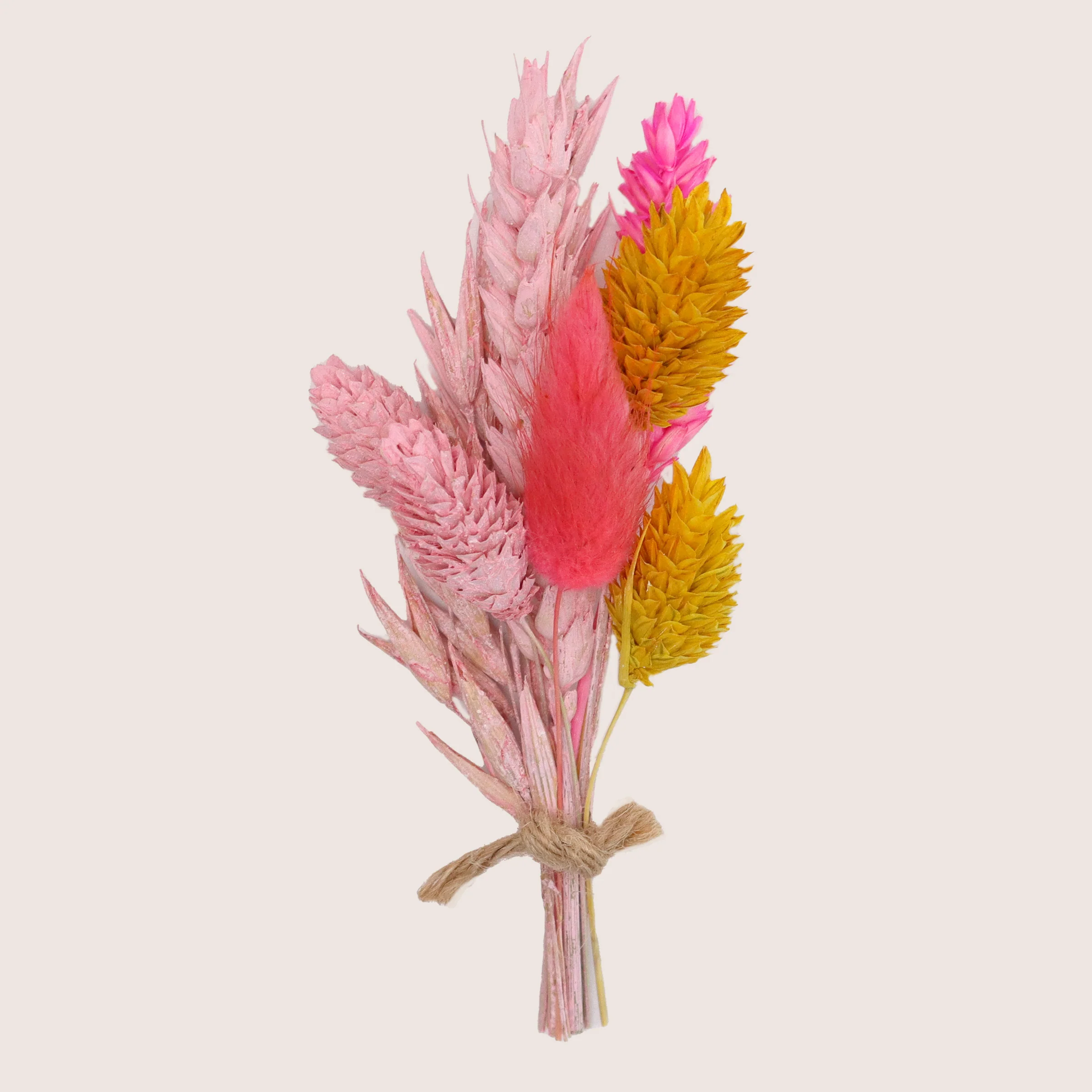 Mini Dried Flowers- Bright