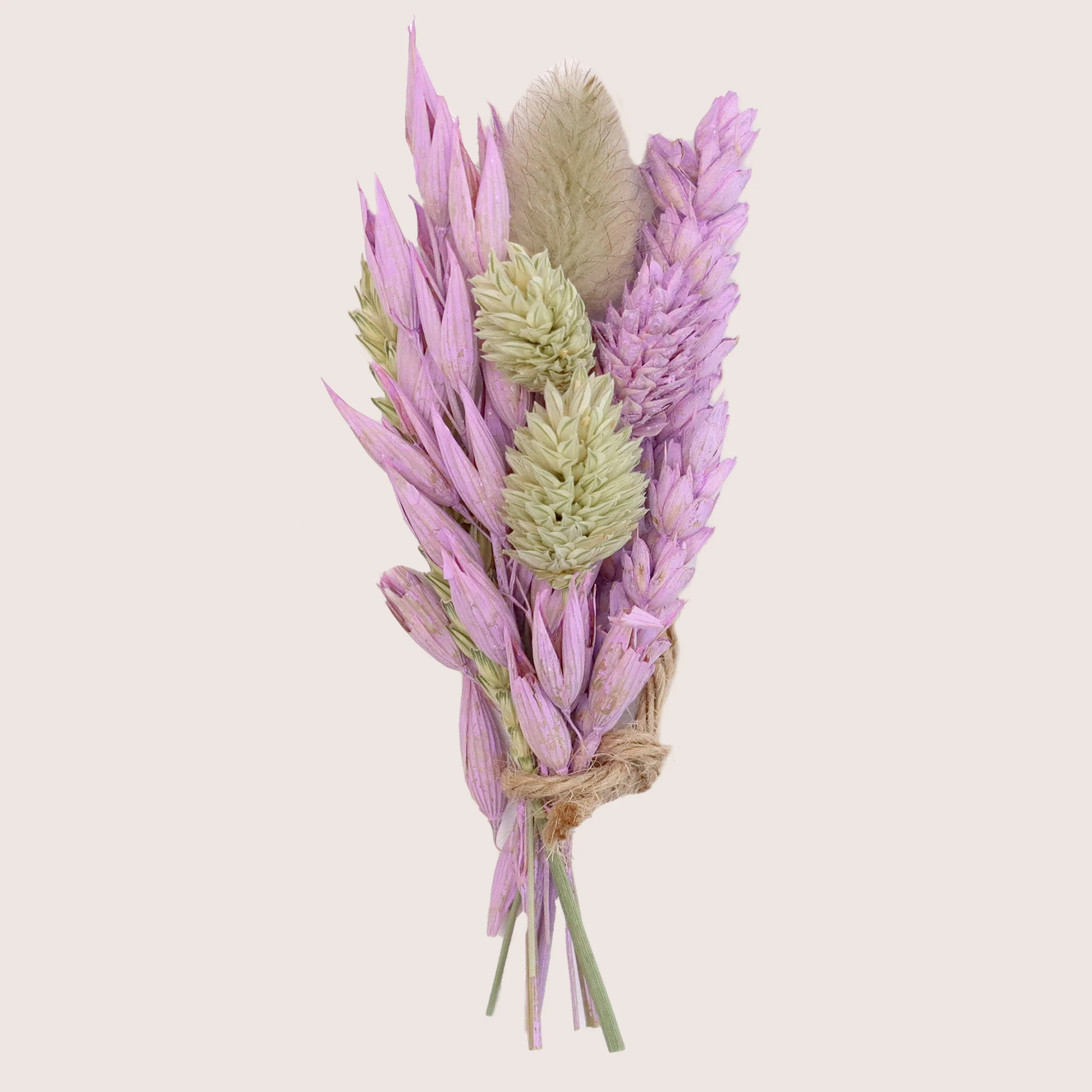 Mini Dried Flowers - Pastels