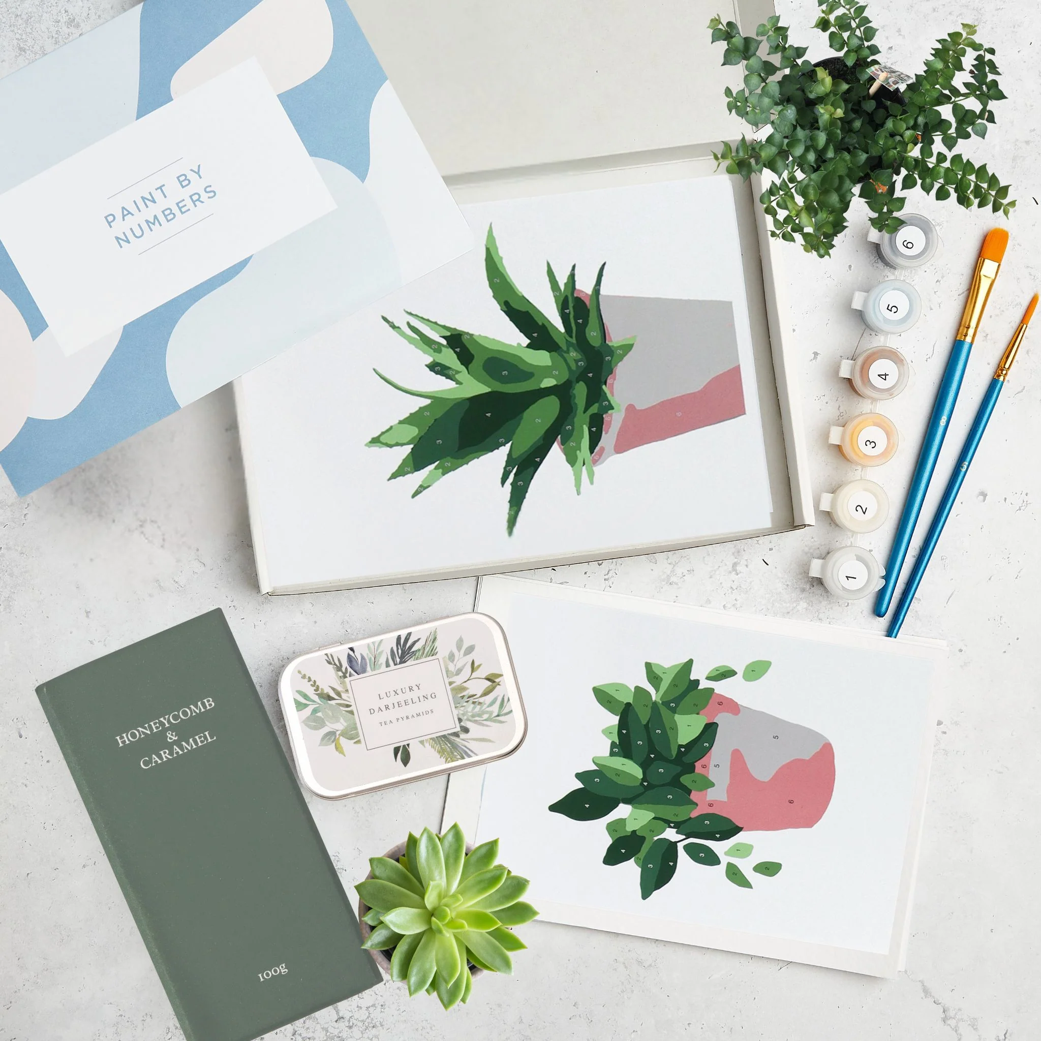 Paint by Numbers Letterbox Gift - Image 8