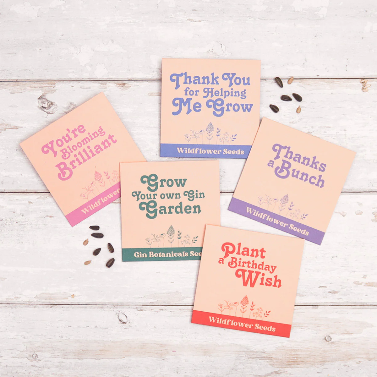 You're Blooming Brilliant Wildflower Seeds - Image 3